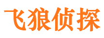 内江侦探